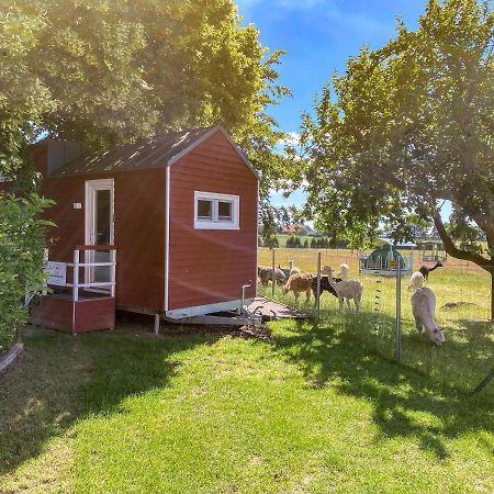 Vila Tiny House Auf Der Alpaka Farm Rubkow Exteriér fotografie